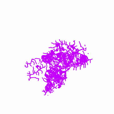 Export Image